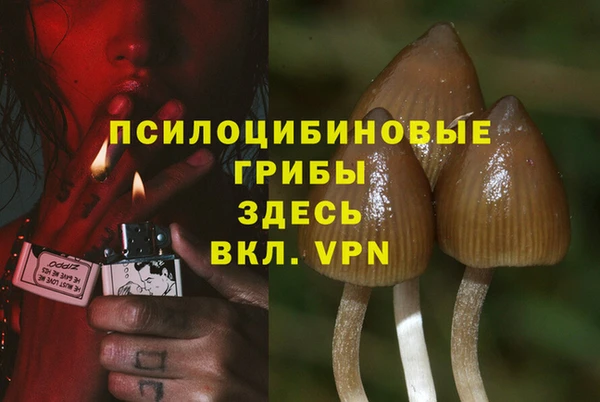 бошки Михайловск