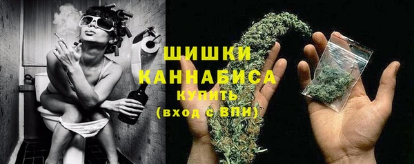 твердый Медногорск
