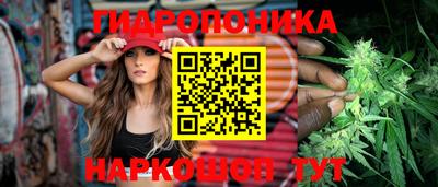 синтетический гашиш Камышлов
