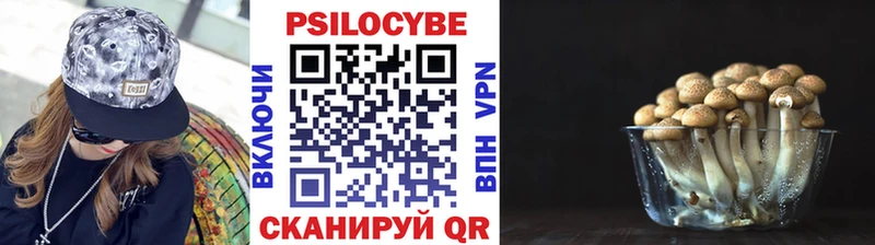 закладки  Туймазы  Галлюциногенные грибы мухоморы 