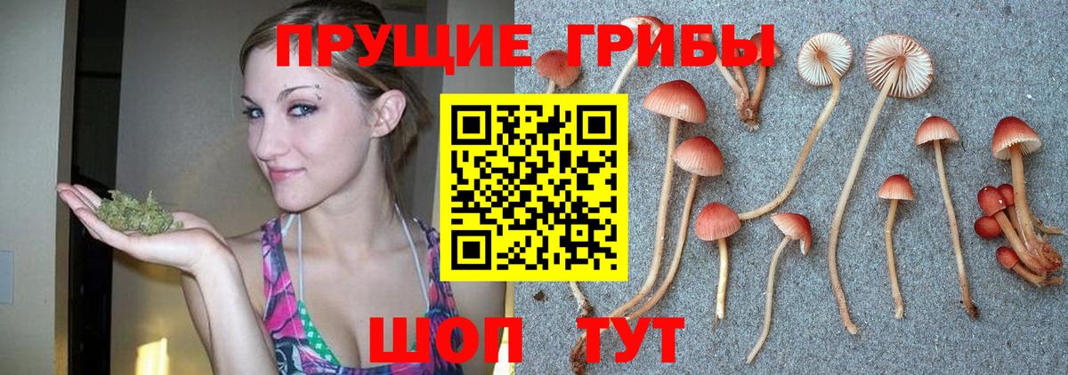 Псилоцибиновые грибы MAGIC MUSHROOMS  продажа наркотиков  Галлюциногенные грибы ЛСД  Туймазы 